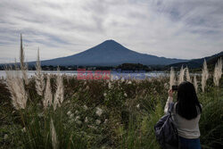 Góra Fuji ciągle bez śniegu