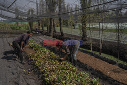 Pływające ogrody Xochimilco