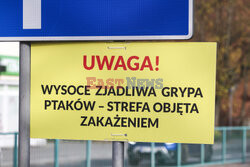 Ptasia grypa w Olsztynie