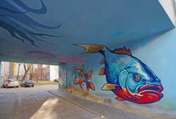 Nowy mural artysty Taki Myk