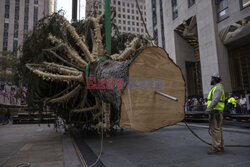 Choinka przed Rockefeller Center