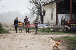 Ferma drobiu we Francji