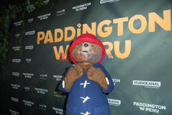 Premiera filmu Paddington w Peru