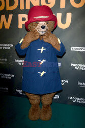 Premiera filmu Paddington w Peru