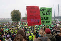 Antyrządowe protesty w Niemczech