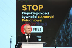 Konferencja prezesa PiS Jarosława Kaczyńskiego