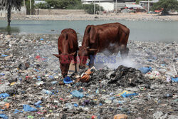 Stosy plastikowych śmieci na plaży w Somalii