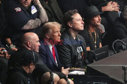 Donald Trump i Elon Musk na gali UFC 309