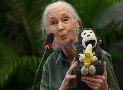 Ekolożka dr. Jane Goodall rozpoczyna „Hope Global Tour” w Bombaju