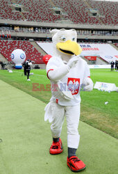 Finał turnieju piłkarskiego "Z Orlika na Stadion"