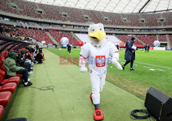 Finał turnieju piłkarskiego "Z Orlika na Stadion"