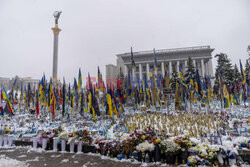 Obchody Dnia Godności i Wolności Ukrainy