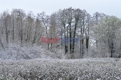 Pierwszy śnieg w Warszawie