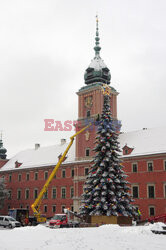 Na Placu Zamkowym stanęła już choinka