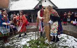 Osadzenie chochoła przed Rydlówką w Krakowie