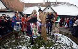 Osadzenie chochoła przed Rydlówką w Krakowie