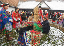 Osadzenie chochoła przed Rydlówką w Krakowie