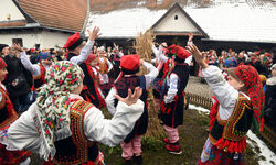 Osadzenie chochoła przed Rydlówką w Krakowie