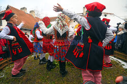 Osadzenie chochoła przed Rydlówką w Krakowie