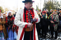 Osadzenie chochoła przed Rydlówką w Krakowie