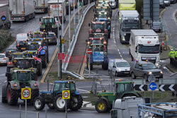 Rolnicze protesty w Europie