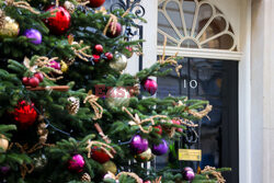 Choinka przy Downing Street 10