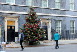 Choinka przy Downing Street 10