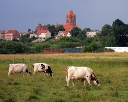 Miasta i miasteczka Polski KCh