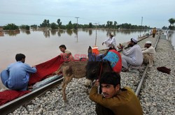 Powódź w Pakistanie