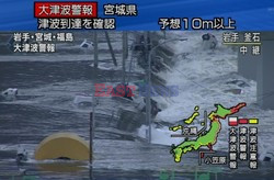 Trzęsienie ziemi i tsunami w Japonii