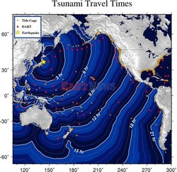 Trzęsienie ziemi i tsunami w Japonii