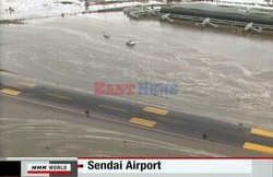 Trzęsienie ziemi i tsunami w Japonii