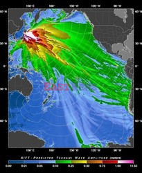 Trzęsienie ziemi i tsunami w Japonii