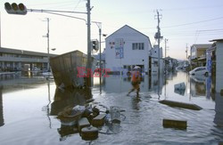 Trzęsienie ziemi i tsunami w Japonii