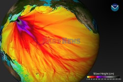 Trzęsienie ziemi i tsunami w Japonii