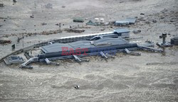 Trzęsienie ziemi i tsunami w Japonii