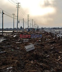 Trzęsienie ziemi i tsunami w Japonii