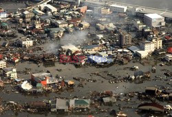 Trzęsienie ziemi i tsunami w Japonii