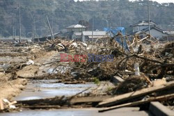 Trzęsienie ziemi i tsunami w Japonii