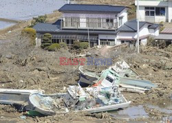 Trzęsienie ziemi i tsunami w Japonii