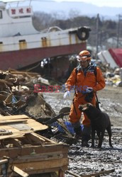 Trzęsienie ziemi i tsunami w Japonii