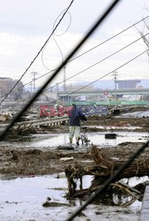 Trzęsienie ziemi i tsunami w Japonii