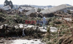 Trzęsienie ziemi i tsunami w Japonii