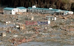 Trzęsienie ziemi i tsunami w Japonii