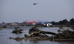 Trzęsienie ziemi i tsunami w Japonii