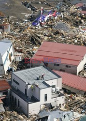 Trzęsienie ziemi i tsunami w Japonii