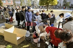 Trzęsienie ziemi i tsunami w Japonii