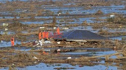 Trzęsienie ziemi i tsunami w Japonii