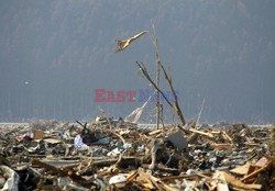 Trzęsienie ziemi i tsunami w Japonii