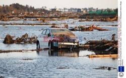 Trzęsienie ziemi i tsunami w Japonii